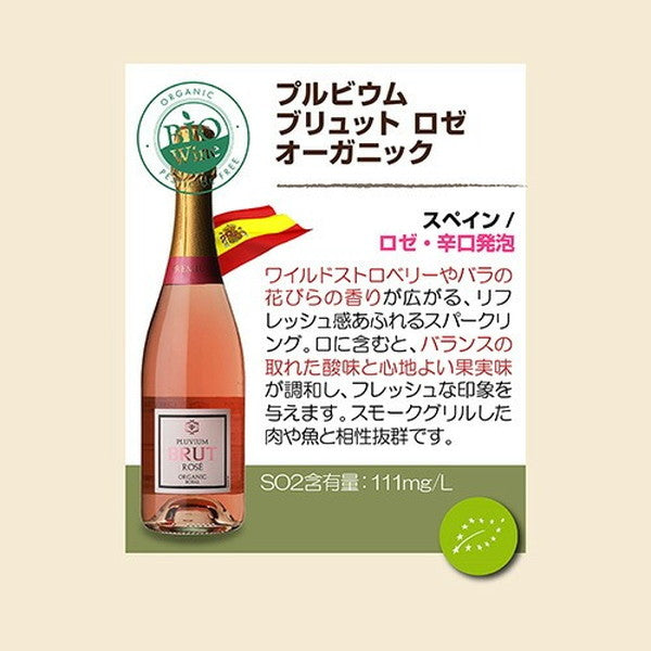 ビオワイン 10本セット【常温便】