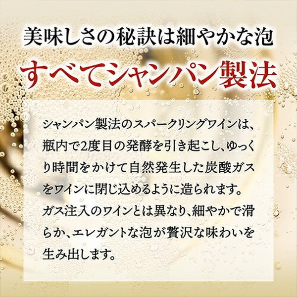 フランスシャンパン製法6本セット【常温便】