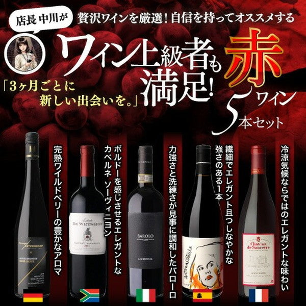 自信を持っておすすめする ワイン上級者も満足！赤ワイン5本セット【常温便】