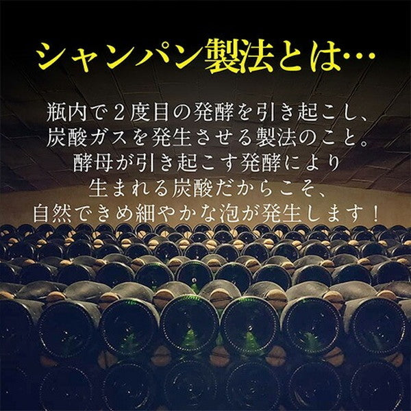 シャンパン製法 辛口泡6本セット【クール便】