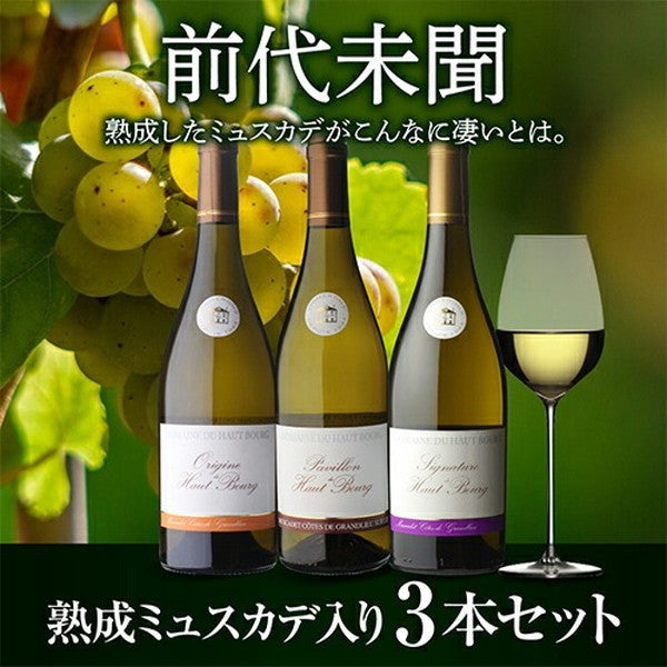 熟成ミュスカデ オー ブール 3本セット【常温便】