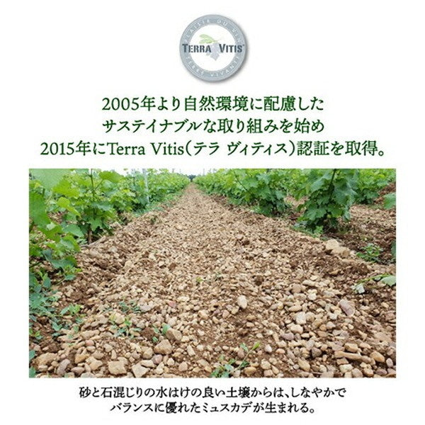 熟成ミュスカデ オー ブール 3本セット【クール便】