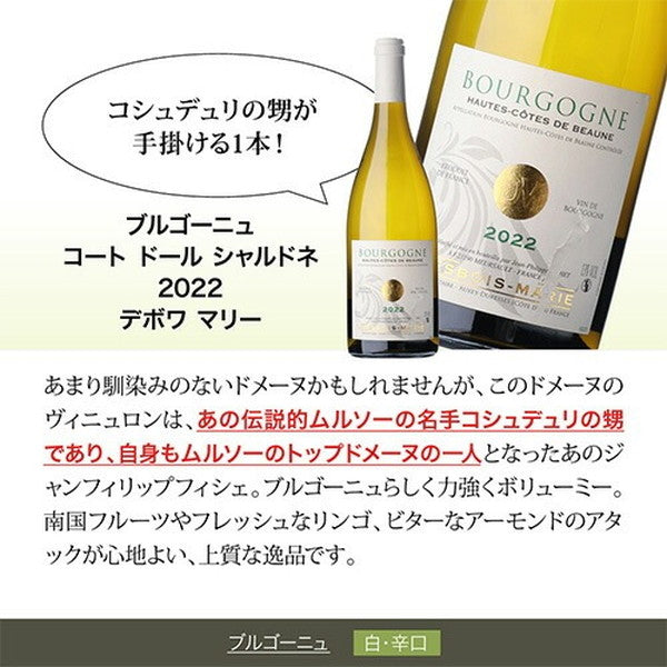 フランス ブルゴーニュ シャルドネ5本セット【クール便】