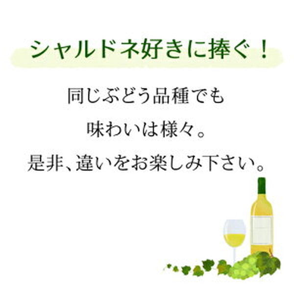 世界のシャルドネ 飲み比べ 5本セット【クール便】