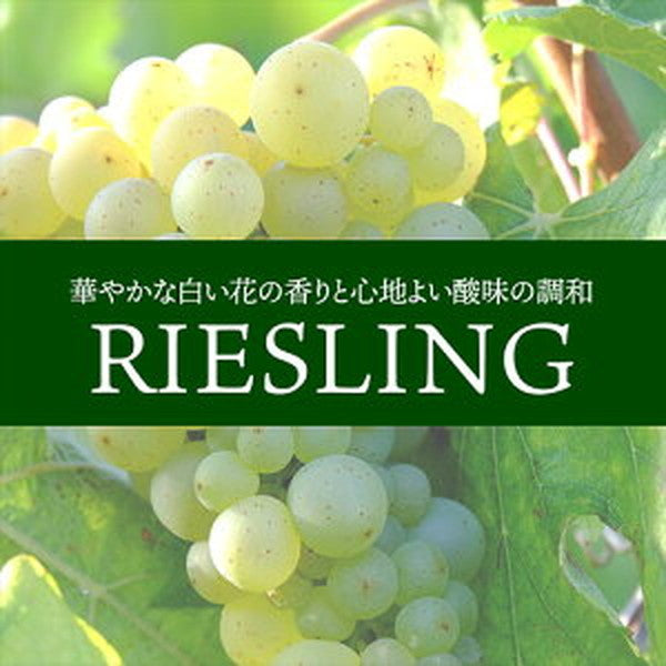 リースリング 4本セット【常温便】