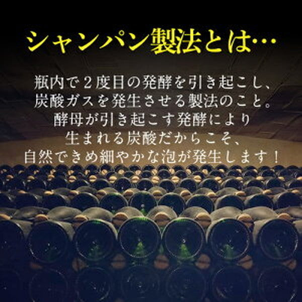 シャンパン製法 辛口泡6本セット【常温便】