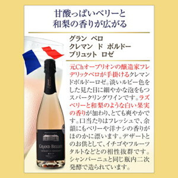 シャンパン製法 辛口泡6本セット【常温便】