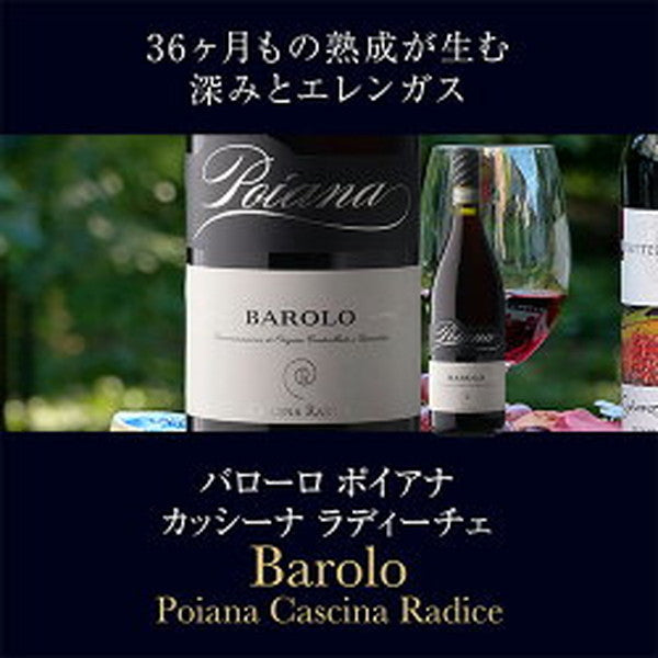 バローロ＆バルバレスコ5本セット【常温便】
