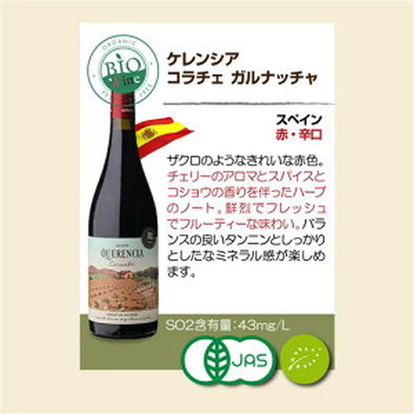 ビオワイン 10本セット 【常温便】