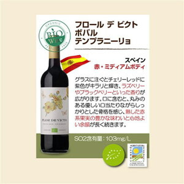 ビオワイン 10本セット 【常温便】