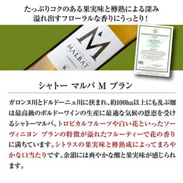 ボルドー＆ガスコーニュ　ブラン6本【常温便】