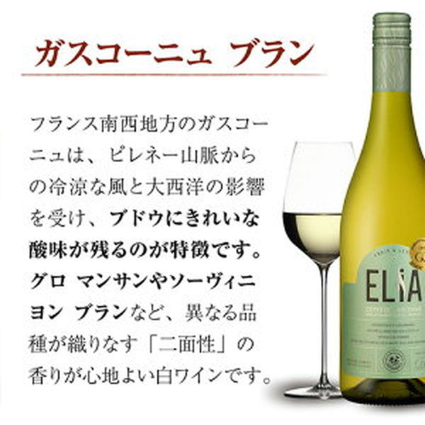 ボルドー＆ガスコーニュ　ブラン6本【クール便】