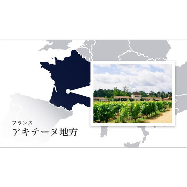 サン・ダルフォー オールフルーツジャム ストロベリー170g(24本)